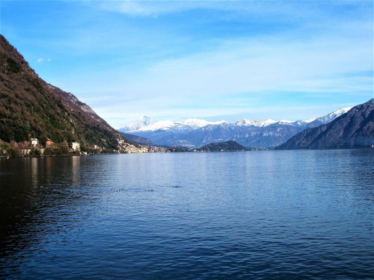 Green & Lake Home Argegno Dış mekan fotoğraf